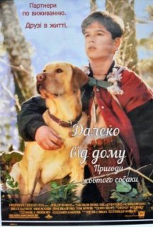 Уроки виживання / Далеко від дому. Пригоди жовтого собаки постер