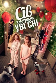 Сів заблукала уві сні постер