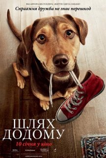 Шлях додому постер