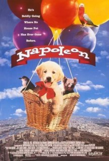 Наполеон постер
