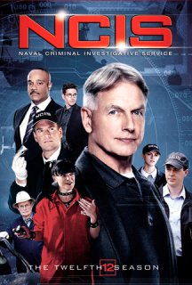 NCIS: Полювання на вбивцю / Морська поліція: Спецвідділ 12 сезон постер