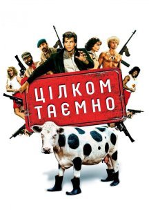 Цілком таємно постер