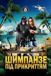 Шимпанзе під прикриттям постер