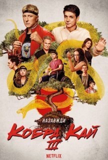 Кобра Кай 3 сезон постер