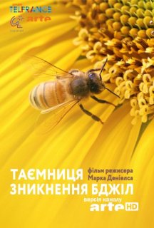 Таємниця зникнення бджіл постер