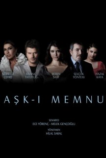 Заборонене кохання 1 сезон постер
