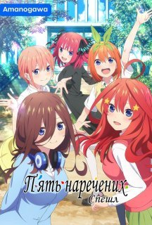 П'ять наречених Спешл 1 сезон постер