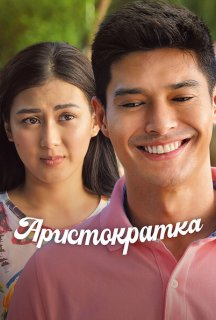 Аристократка постер