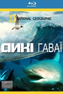 Дикі Гаваї 1 сезон постер