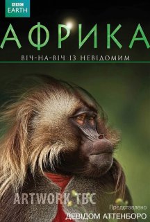 Африка 1 сезон постер