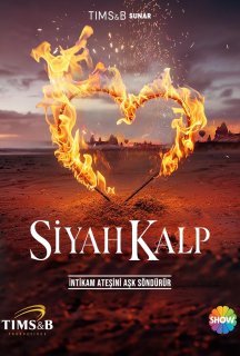 Чорне серце 1 сезон постер