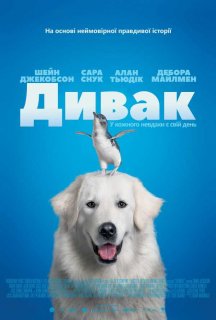 Дивак постер