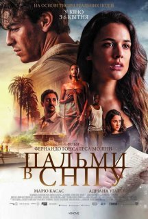 Пальми в снігу / Засніжені пальми постер