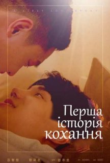 Перша історія кохання 1 сезон постер