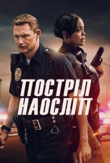 Постріл наосліп постер