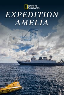 Експедиція «Амелія» постер