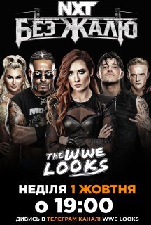 WWE Без Жалю постер