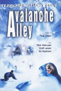 Долина лавин постер