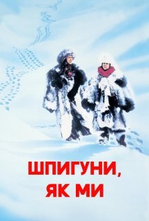Шпигуни як ми постер