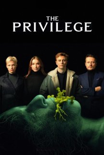 Привілей постер