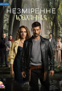 Незміренне кохання 1 сезон постер