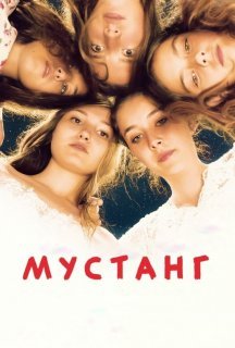 Мустанг постер