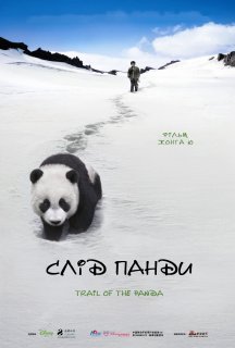 Слід панди постер