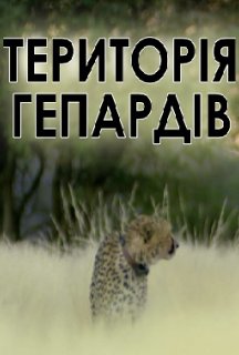 Територія гепардів постер