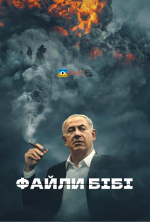 Файли Бібі постер