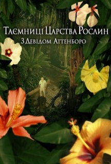Таємниці царства рослин 1 сезон постер