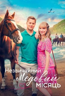 Пригода на медовий місяць / Незвичайний медовий місяць постер