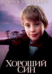 Хороший син постер