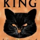 новини про Нова адаптація Стівена Кінга від режисера фільму «Доктор Сон»