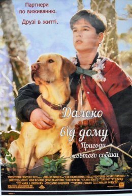 постер до фільму Уроки виживання / Далеко від дому. Пригоди жовтого собаки дивитися онлайн