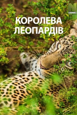 постер до фільму Королева леопардів дивитися онлайн