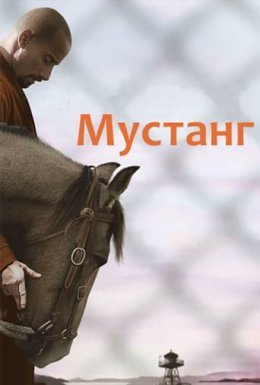 постер до фільму Мустанг дивитися онлайн