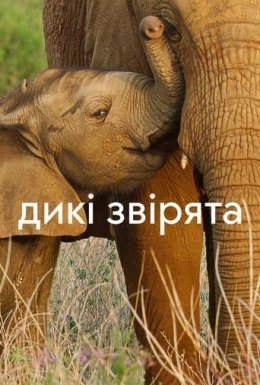 постер серіалу Дикі звірята