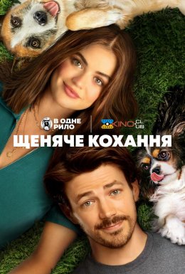 постер до фільму Щеняче кохання дивитися онлайн