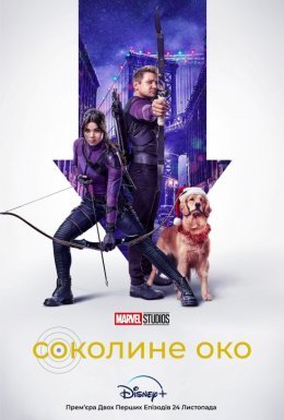 постер серіалу Соколине око