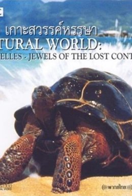 постер до фільму Сейшельські острови дивитися онлайн