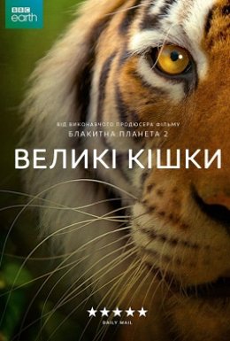 постер серіалу Великі кішки