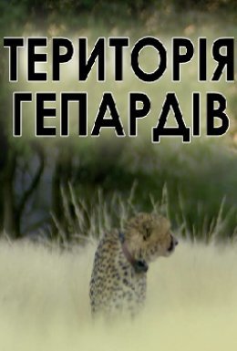 постер до фільму Територія гепардів дивитися онлайн