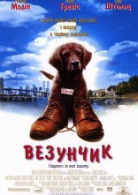 постер Везунчик / Флюк онлайн в HD