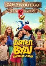 постер Дятел Вуді вирушає у табір онлайн в HD