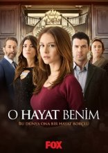 постер Моє чуже життя онлайн в HD