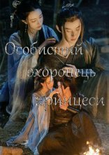 постер Особистий охоронець принцеси онлайн в HD