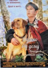 постер Уроки виживання / Далеко від дому. Пригоди жовтого собаки онлайн в HD
