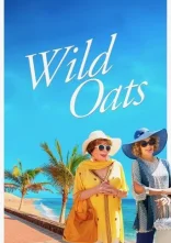 постер Молодість за страховкою онлайн в HD