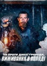 постер Ти проти дикої природи: Виживання в холоді онлайн в HD