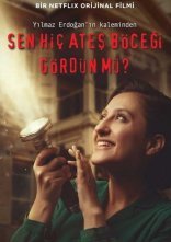 постер Ви коли-небудь бачили світлячків? онлайн в HD